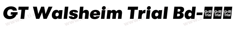 GT Walsheim Trial Bd字体转换